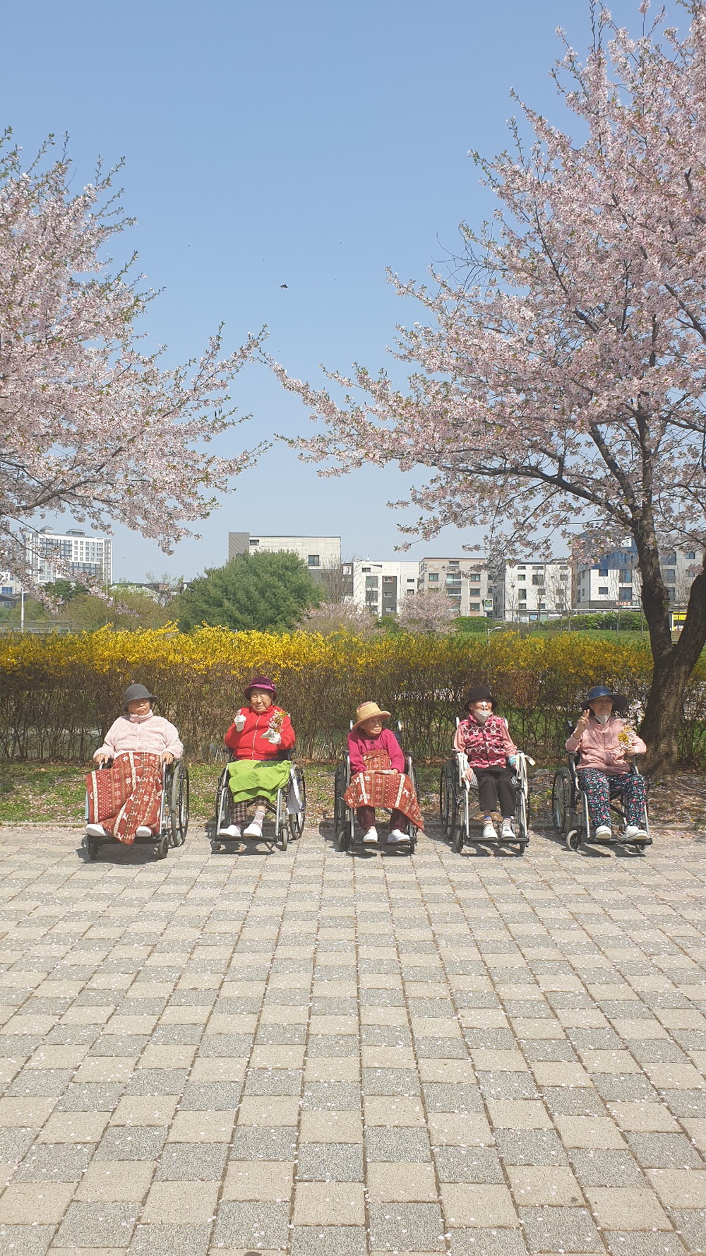 2039468379_Mld9iBvS_c9ad0e0c8affe337c76c8216c94625721ca98eb0.jpg 이미지크게보기