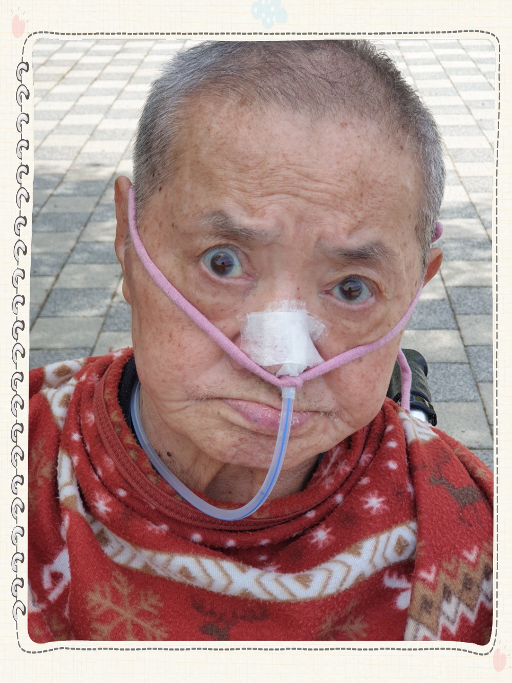 2039468379_ikmHtCUw_b946091af2c37fc677be830df3ff171e69a5e3f4.jpg 이미지크게보기