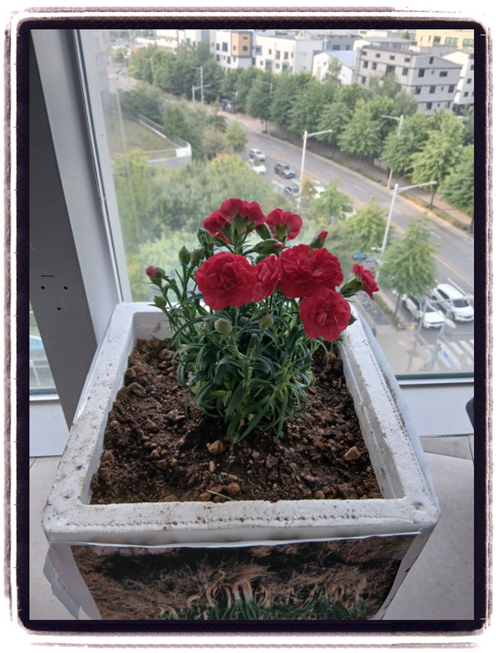 2039468379_vIwN5K46_6466f4a7afa7cf6c9221e7577d453c8d01fe0010.jpg 이미지크게보기