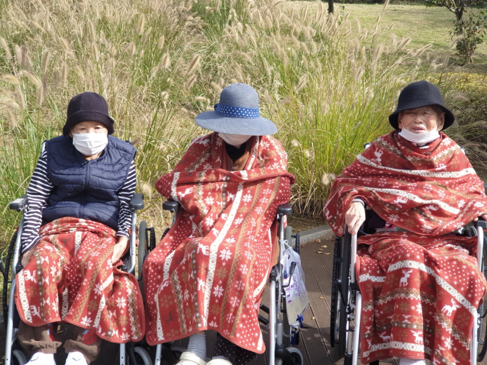 2039468379_7DMASdhv_cfba70873284b3be84c0b4eb8cc70df146749992.jpg 이미지크게보기