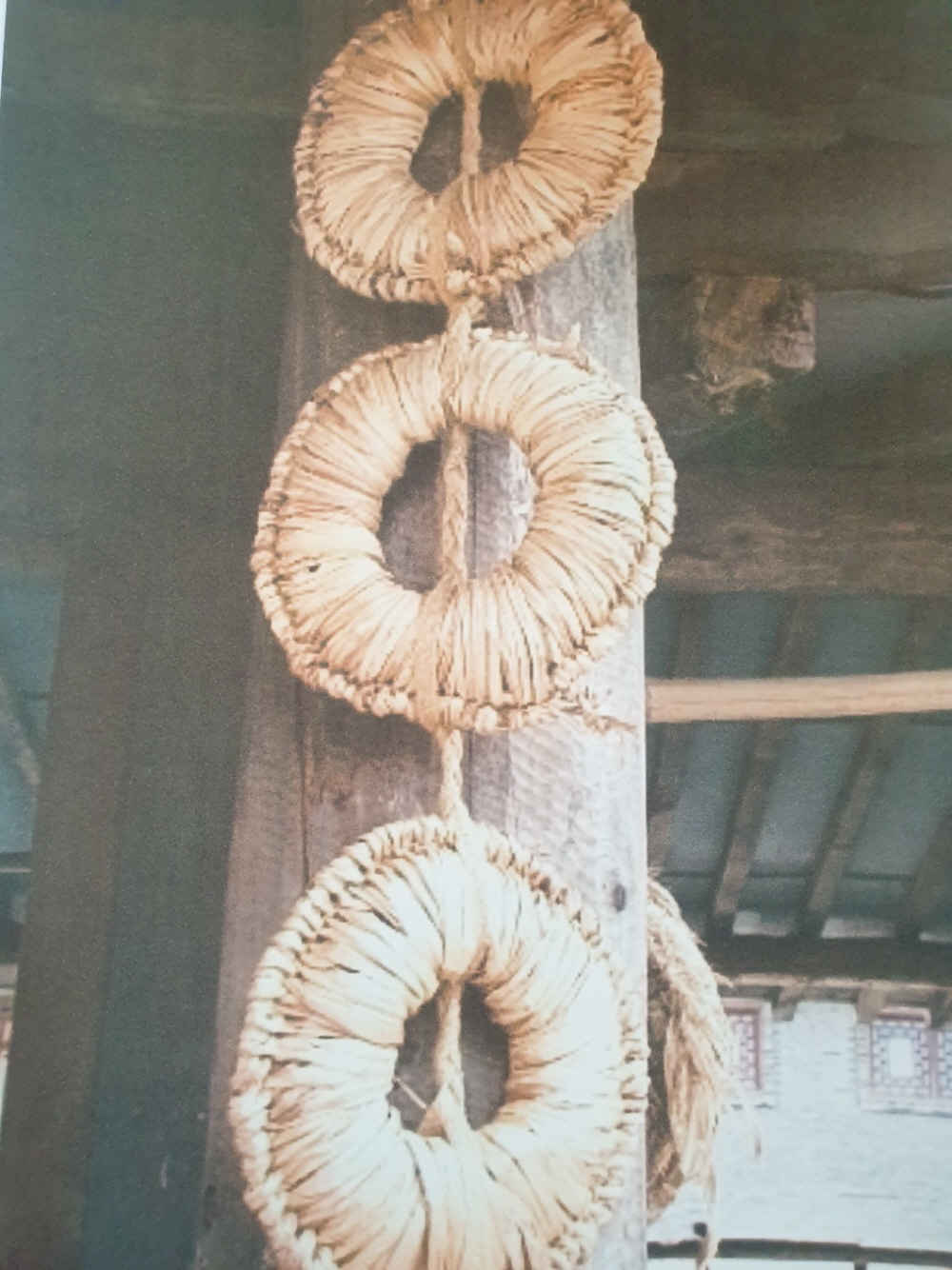 2039468379_OBnfCqdh_4aa8d55c7b7d437f82a23fe4a884ca5f5ff36e0d.jpg 이미지크게보기