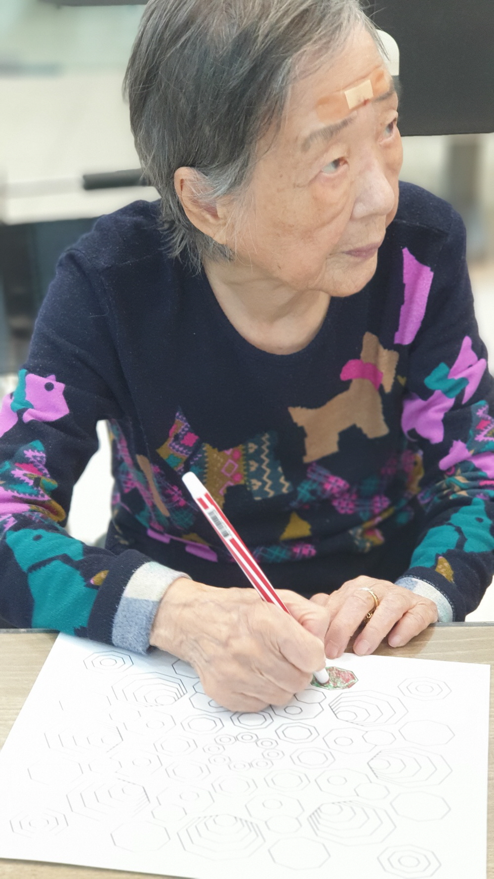 2039468379_Oi93RFBE_60c8b4cd9f912a7b83adee5c89e106b99164e70d.jpg 이미지크게보기