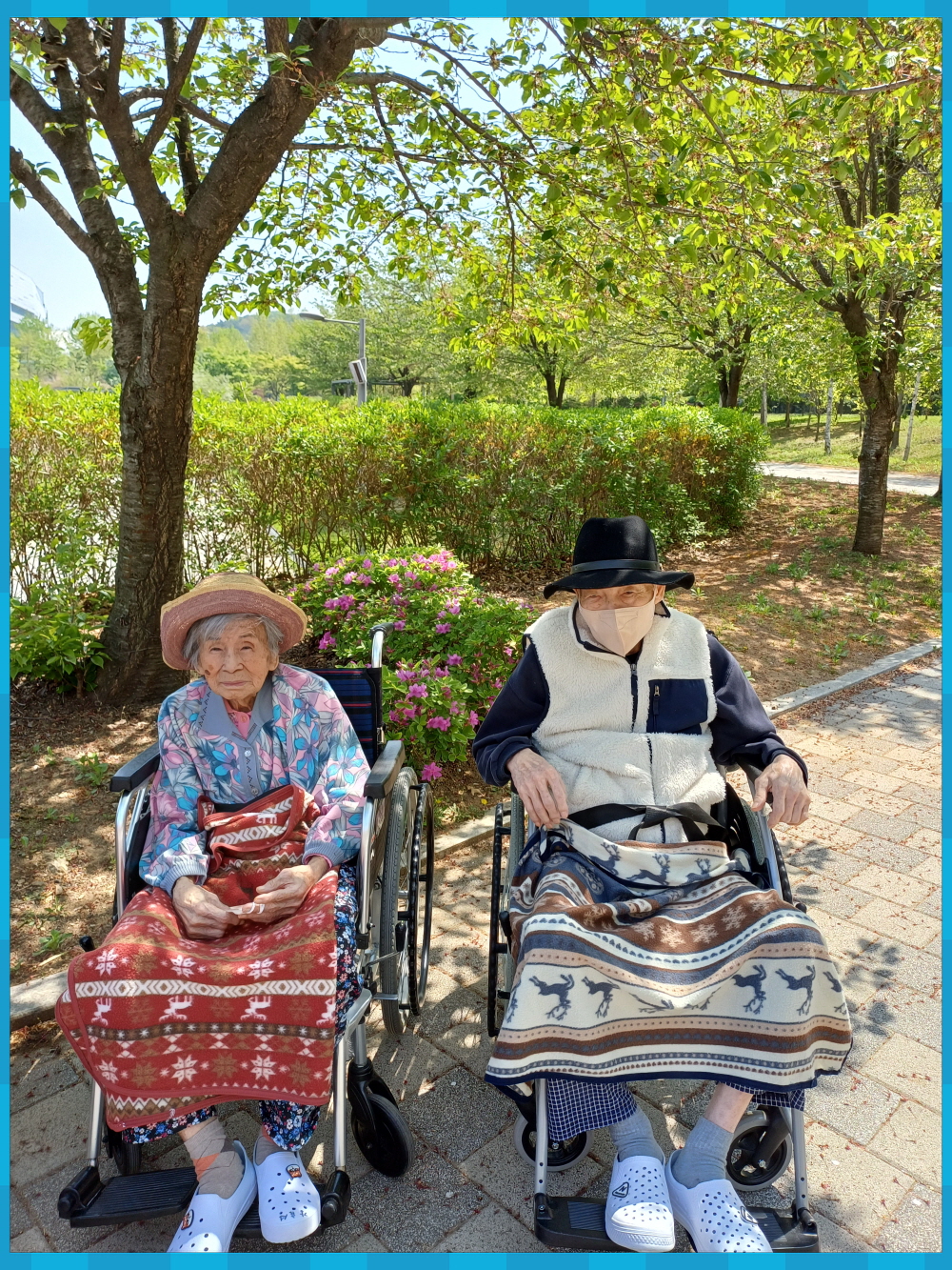 2039468379_RtMVaIsT_c9a116896c75f06676efe7c0bb4683c3c8609ca3.jpg 이미지크게보기