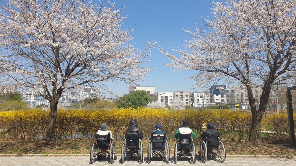 2039468379_axMc1Yzi_d2ad4b113382a70e6e5daded6b8c9896d64eeca3.jpg 이미지크게보기